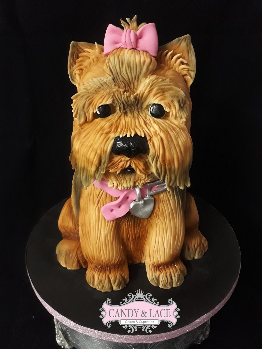Yorkie Cake-Most Amazing Dog-Shaped Cakes